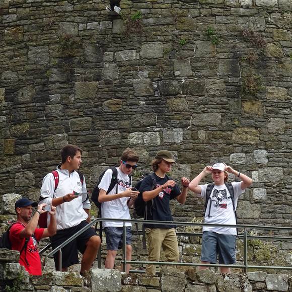 Meet your Posher, Mitchell - Picture 1 of 1